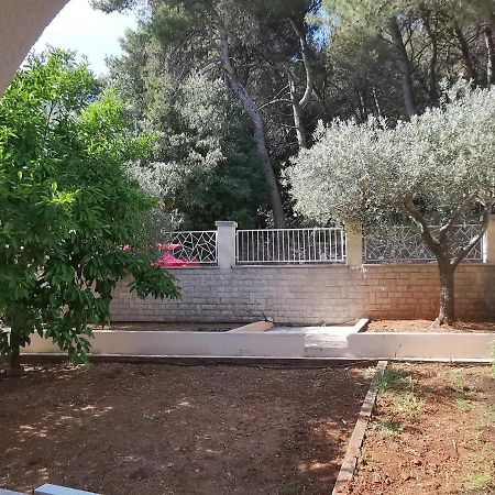 Apartment Pineta With Terrace & Park Wood View PUY Exterior foto