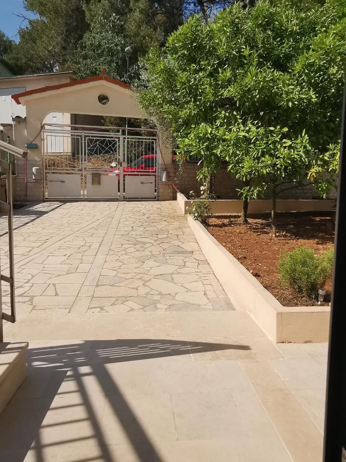 Apartment Pineta With Terrace & Park Wood View PUY Exterior foto