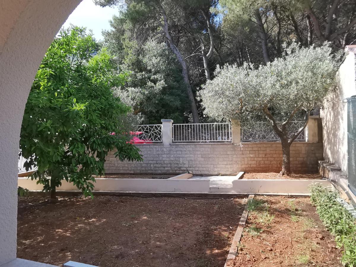 Apartment Pineta With Terrace & Park Wood View PUY Exterior foto